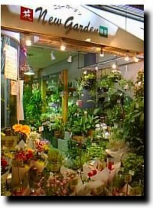 板橋区のおしゃれな花屋22選！便利な駅前店やアレンジ花束が人気な店も！