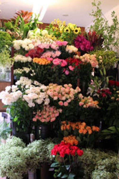 富山市のおしゃれな花屋25選！便利な駅前店やアレンジ花束が人気な店も！