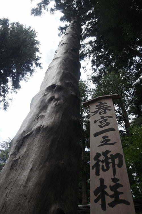 【長野】下諏訪で懐かしさと新しさを楽しむ旅をしよう