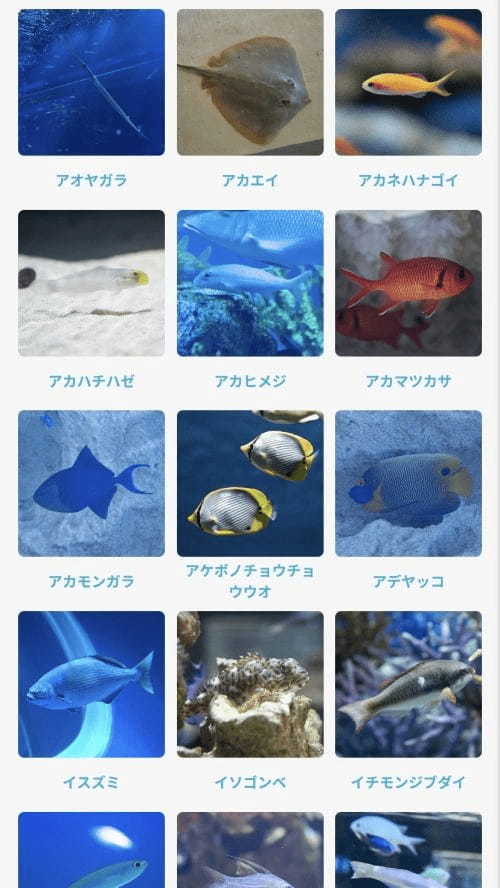 【沖縄】最先端の映像で演出する海の世界！DMMかりゆし水族館のみどころをご紹介！1.jpg