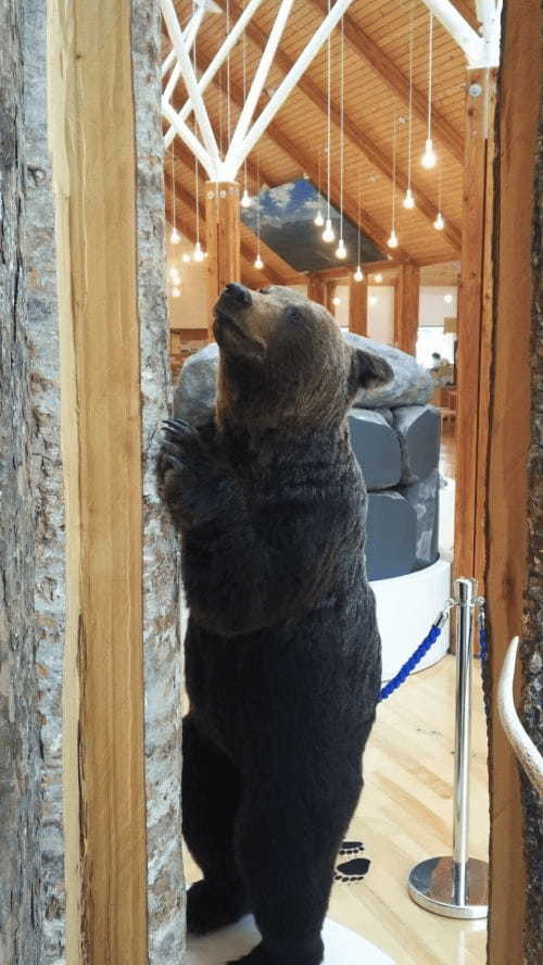 【北海道・上士幌】世界の昆虫標本が人気！ひがし大雪自然館の見どころ紹介