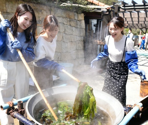 わかめ獲ったぞー！鳴門わかめの収穫・加工・試食まで体験できる名物ご当地イベントが開催！