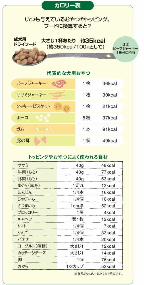 元気の素は食事から！「肥満」を防ぐ生活習慣