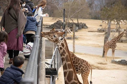 かわいい動物から絶叫アトラクションまで！楽しさ山盛りの「姫路セントラルパーク」を遊び尽そう