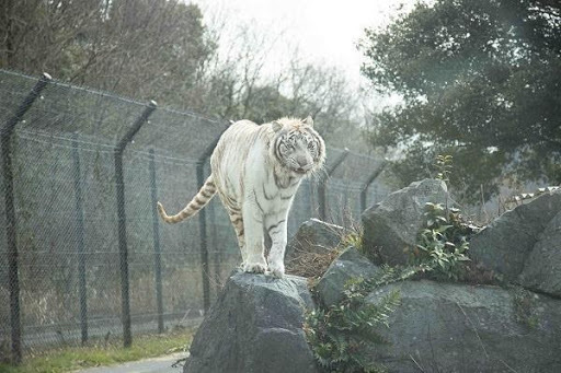 かわいい動物から絶叫アトラクションまで！楽しさ山盛りの「姫路セントラルパーク」を遊び尽そう