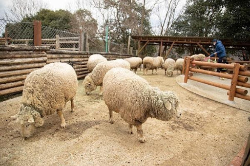 かわいい動物から絶叫アトラクションまで！楽しさ山盛りの「姫路セントラルパーク」を遊び尽そう