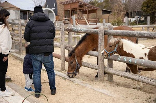 かわいい動物から絶叫アトラクションまで！楽しさ山盛りの「姫路セントラルパーク」を遊び尽そう