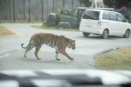 かわいい動物から絶叫アトラクションまで！楽しさ山盛りの「姫路セントラルパーク」を遊び尽そう