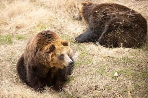 かわいい動物から絶叫アトラクションまで！楽しさ山盛りの「姫路セントラルパーク」を遊び尽そう