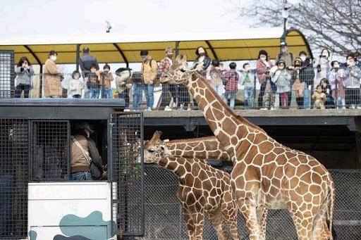 かわいい動物から絶叫アトラクションまで！楽しさ山盛りの「姫路セントラルパーク」を遊び尽そう