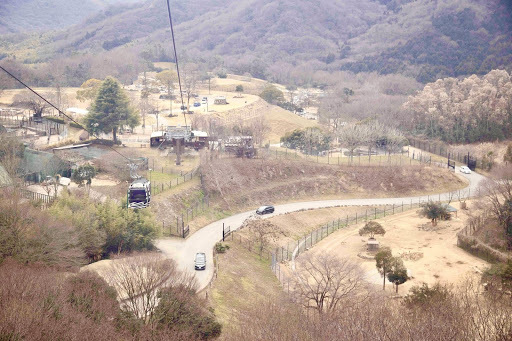 かわいい動物から絶叫アトラクションまで！楽しさ山盛りの「姫路セントラルパーク」を遊び尽そう