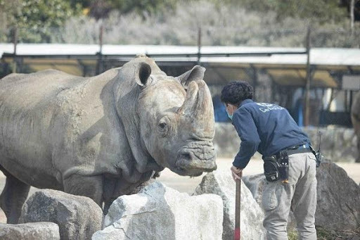 かわいい動物から絶叫アトラクションまで！楽しさ山盛りの「姫路セントラルパーク」を遊び尽そう