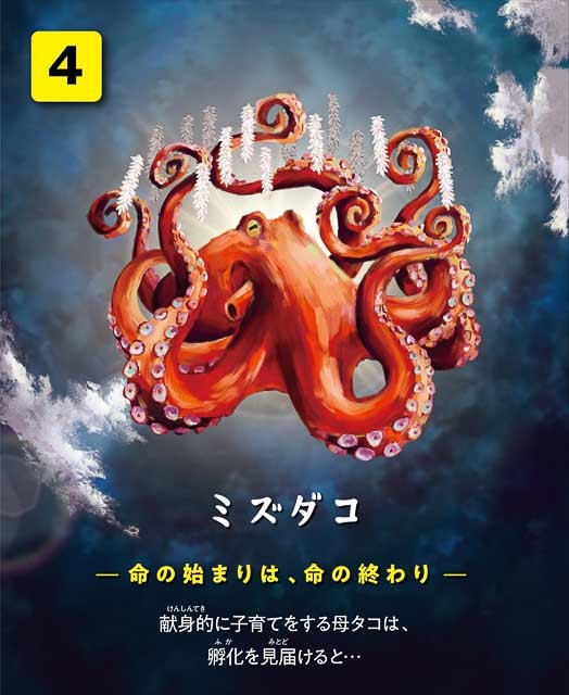 生きるってなに？サンシャイン水族館で“生き物の終焉”をテーマにした特別展がスタート！親子で命の大切さを見つめ直そう【東京】