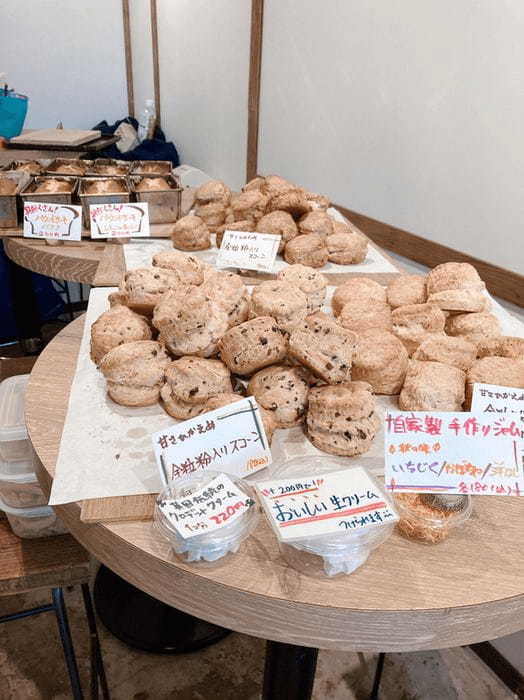 妙蓮寺駅のパン屋おすすめ4選！駅前の本格ベーカリーや話題の新店舗も！