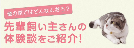 気になる多頭飼い大調査！ みんなで仲良く暮らすには？