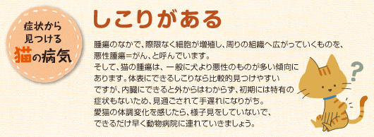 症状から見つける猫の病気 「しこりがある」