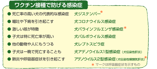 獣医師さんの健康講座 秋から冬に気をつけたいこと！