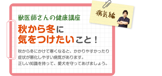 獣医師さんの健康講座 秋から冬に気をつけたいこと！