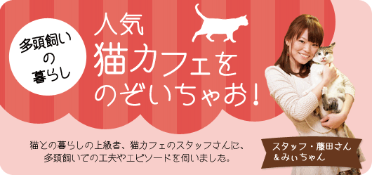 気になる多頭飼い大調査！ みんなで仲良く暮らすには？