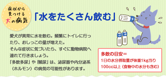 症状から見つける犬の病気　「水をたくさん飲む」