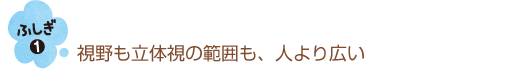 猫の目は不思議がいっぱい！【猫のからだセミナー　目編】