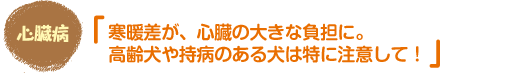 獣医師さんの健康講座 秋から冬に気をつけたいこと！