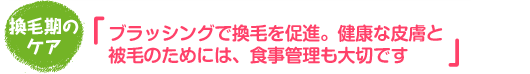 獣医師さんの健康講座 秋から冬に気をつけたいこと！