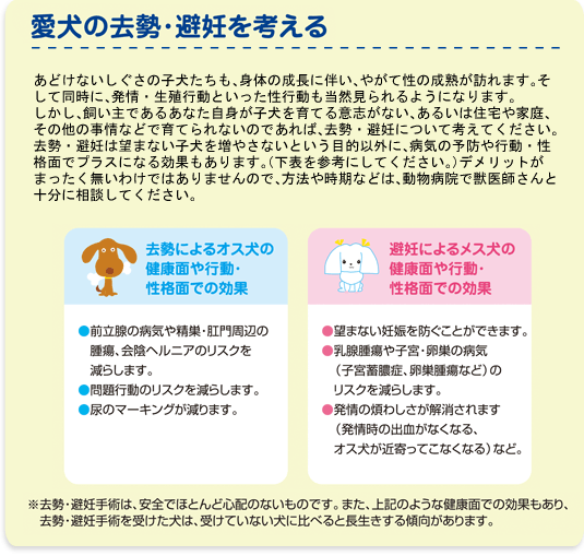 知っておきたい　飼い主のマナーとルール