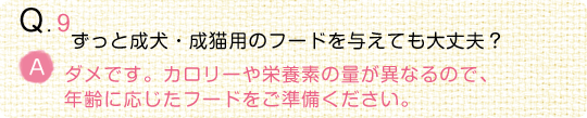 【動物看護師監修】うちの子の“食事”のことなるほどQ＆A