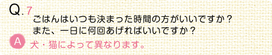 【動物看護師監修】うちの子の“食事”のことなるほどQ＆A