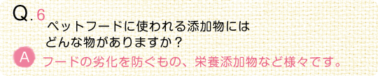 【動物看護師監修】うちの子の“食事”のことなるほどQ＆A