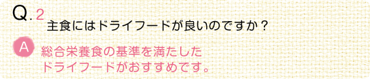 【動物看護師監修】うちの子の“食事”のことなるほどQ＆A