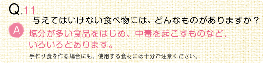 【動物看護師監修】うちの子の“食事”のことなるほどQ＆A