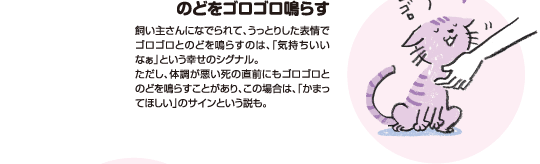 【獣医師監修】猫のコミュニケーション術～あいさつ、あまえ方、ケンカのルールまで～