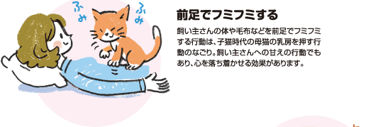 【獣医師監修】猫のコミュニケーション術～あいさつ、あまえ方、ケンカのルールまで～