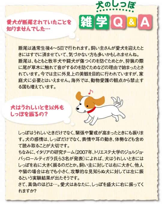 犬の「しっぽ」のこと、どこまで知ってる？【犬のからだセミナー　しっぽ編】