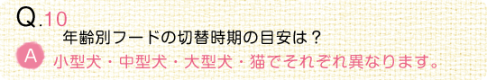 【動物看護師監修】うちの子の“食事”のことなるほどQ＆A