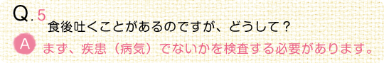 【動物看護師監修】うちの子の“食事”のことなるほどQ＆A