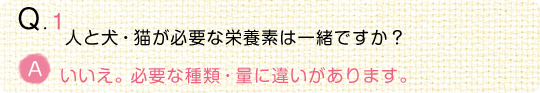 【動物看護師監修】うちの子の“食事”のことなるほどQ＆A