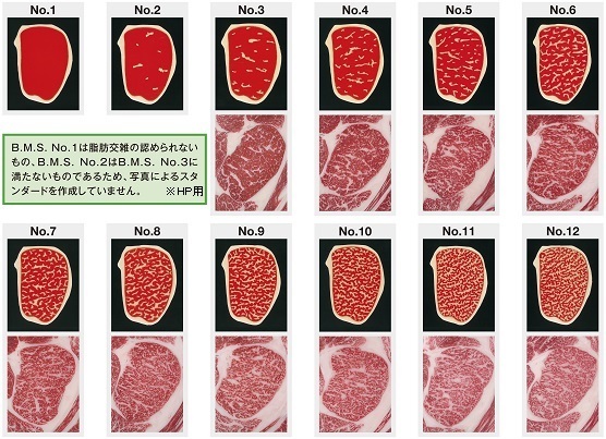 「牛肉はA5ランクが美味しい」は間違い！牛肉ランクの正しい見方