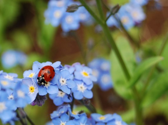 夜の蜘蛛は虫の知らせ？朝・夜の雲のジンクスと理由、正しい対処法も解説！