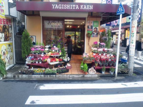 鎌倉市のおすすめ花屋17選！便利な駅前店やギフト向けショップも！