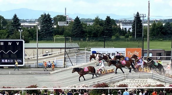 北海道へ帰省中、息子が夫と出かけた「お馬さんしかいない動物園」とは？