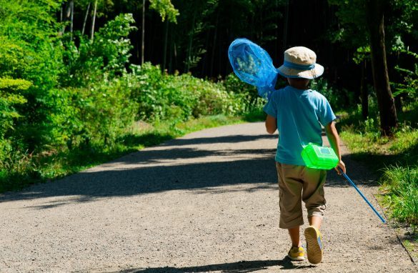 ギャァァァ！虫嫌いの主婦、夏のアウトドアで大惨事「もう二度とイヤ」