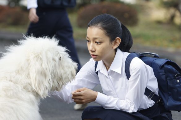 あっ好き…「田中圭と大型犬」の組み合わせが幸せすぎる。映画『ハウ』の魅力