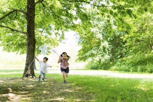 田舎の実家で息子が「おかあさん、クワガタ～！」と持ってきたのは…