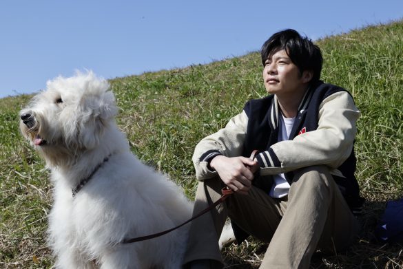 あっ好き…「田中圭と大型犬」の組み合わせが幸せすぎる。映画『ハウ』の魅力