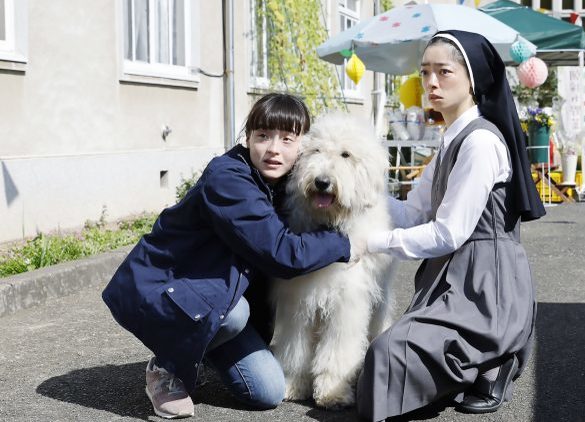 あっ好き…「田中圭と大型犬」の組み合わせが幸せすぎる。映画『ハウ』の魅力