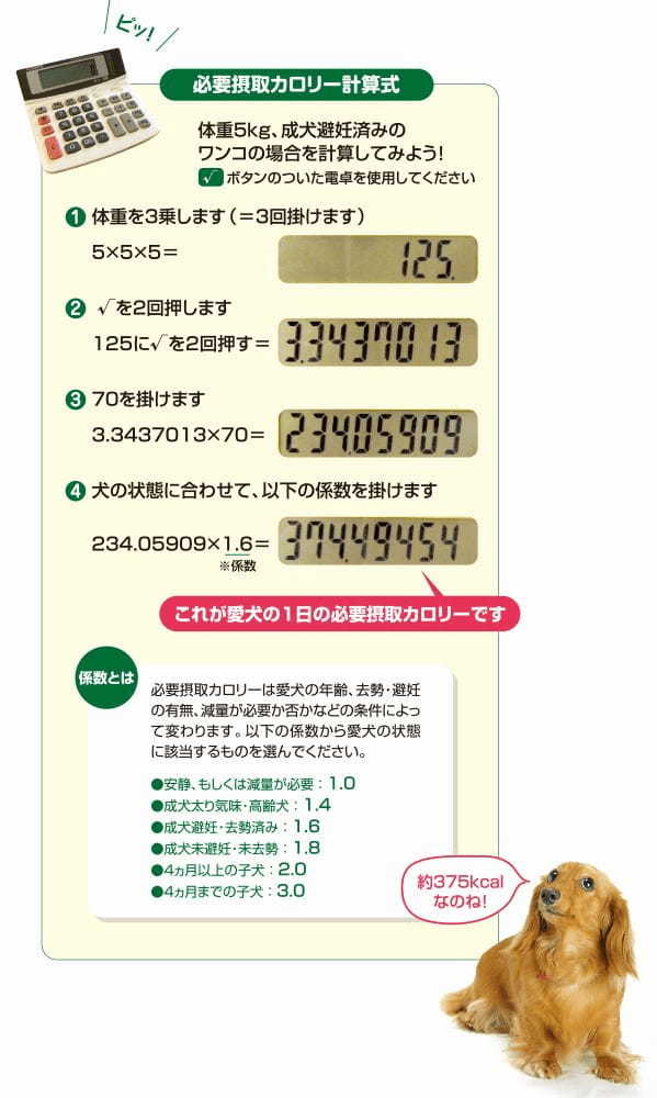 元気の素は食事から！「肥満」を防ぐ生活習慣