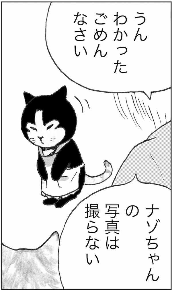 ＜猫漫画＞ツイッターでバズる”猫の名言”と秘密のニオイ!?／モンちゃんと私